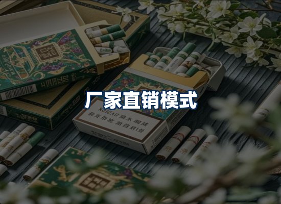 专业团队办公环境